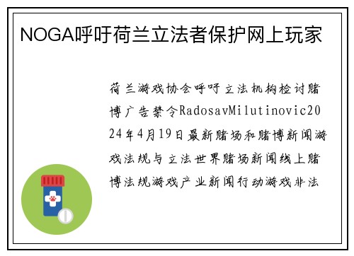 NOGA呼吁荷兰立法者保护网上玩家